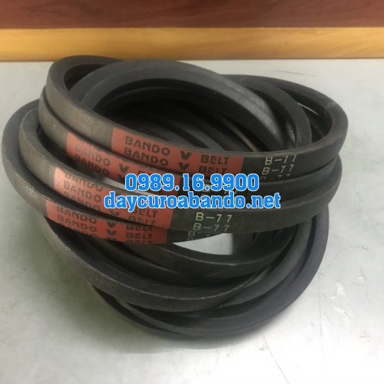 V-BELT B77