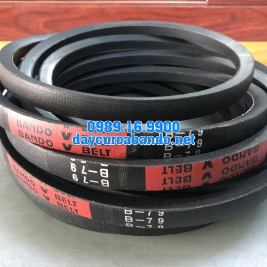 V-BELT B79