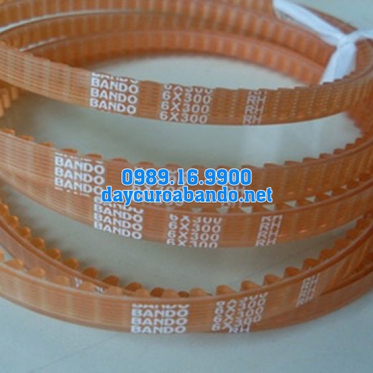 BANDO 6X300