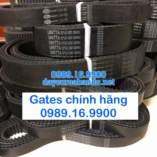DÂY CUROA 8YU HIỆU GATES 