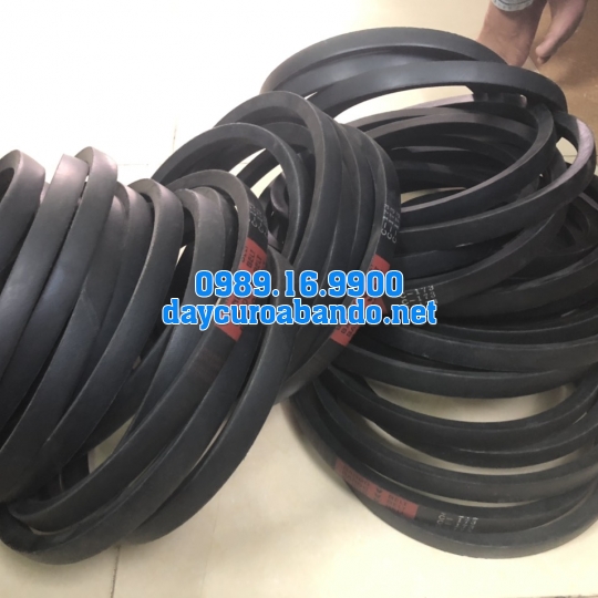 V-BELT C173