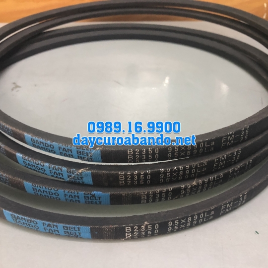 BELT FM