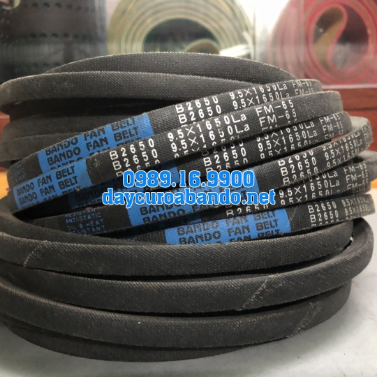 BELT FM