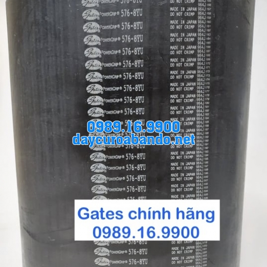 DÂY CUROA GATES 8YU CHÍNH HÃNG