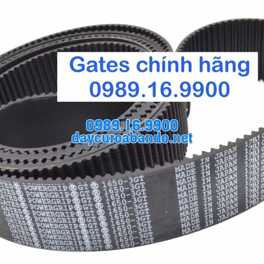 DÂY CUROA 3GT HIỆU GATES 