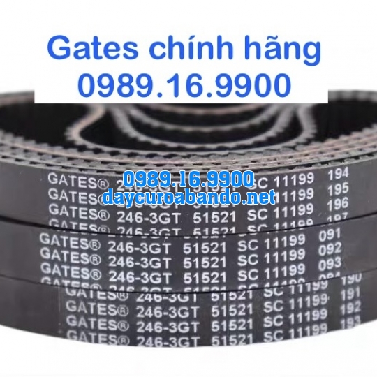 DÂY CUROA GATES 3GT CHÍNH HÃNG