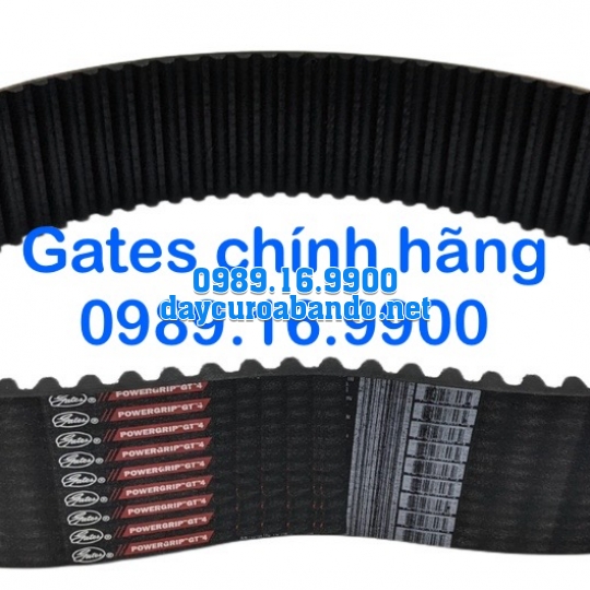 DÂY CUROA GATES 14MGT CHÍNH HÃNG