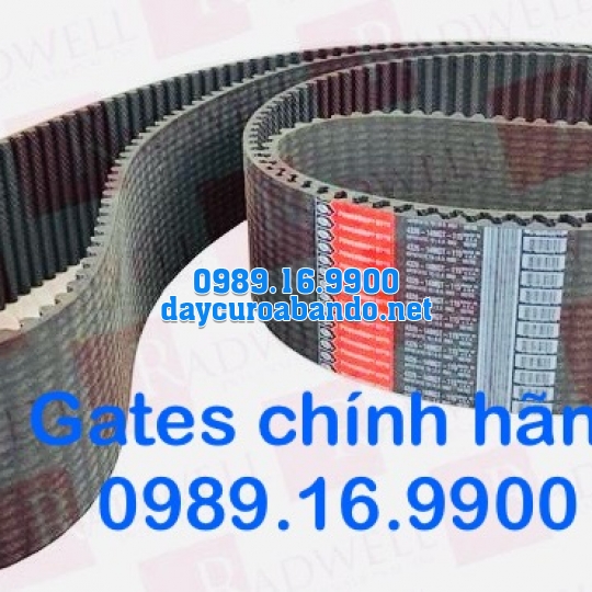 DÂY CUROA GATES 14MGT CHÍNH HÃNG