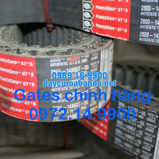 DÂY CUROA GATES 14MGT CHÍNH HÃNG