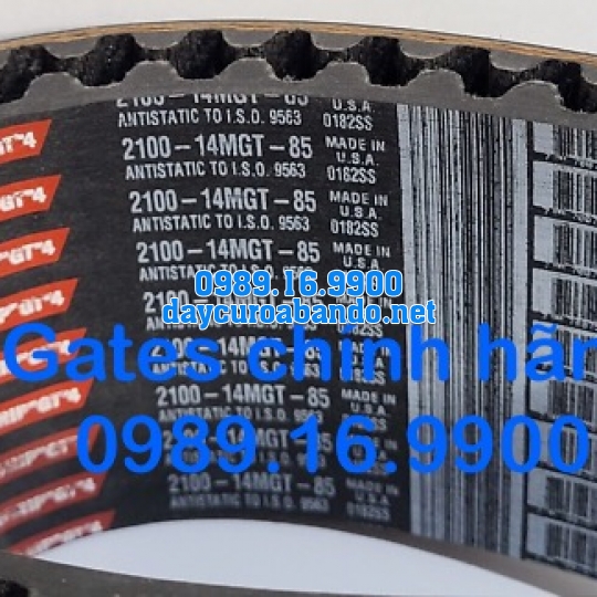 DÂY CUROA GATES 14MGT CHÍNH HÃNG