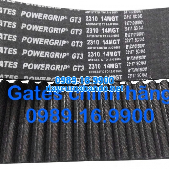 DÂY CUROA GATES 14MGT CHÍNH HÃNG