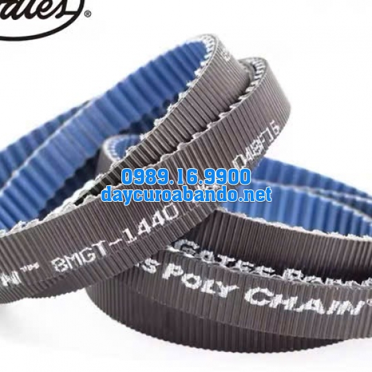 DÂY CUROA POLYCHAIN 8MGT GATES CHÍNH HÃNG