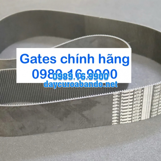 DÂY CUROA 3M GATES