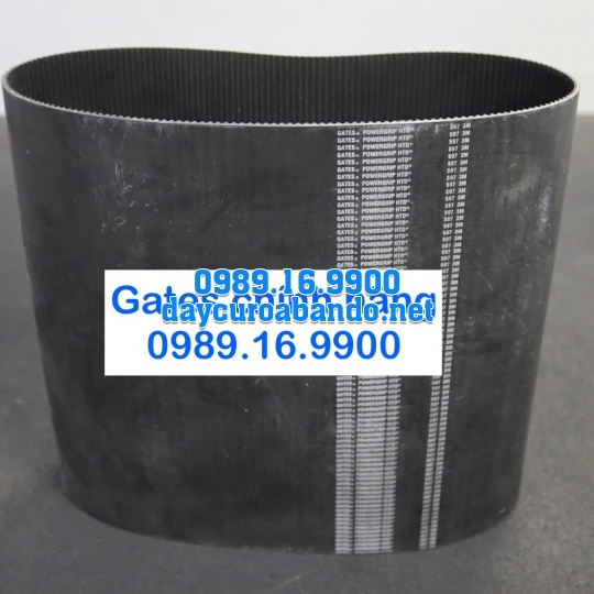 DÂY CUROA 3M GATES