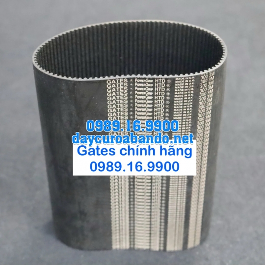 DÂY CUROA GATES 3M CHÍNH HÃNG