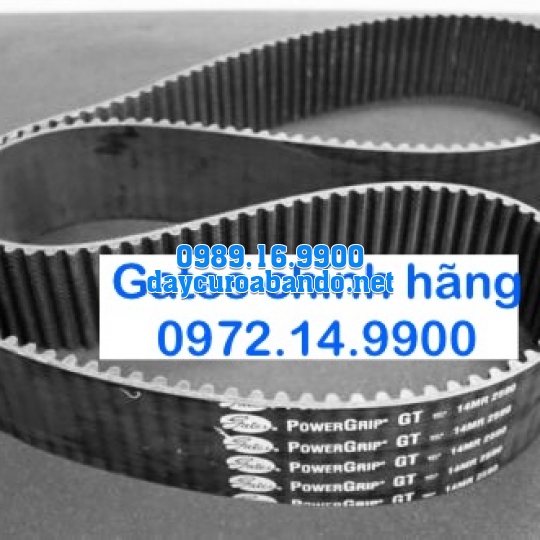 DÂY CUROA GATES 14M CHÍNH HÃNG