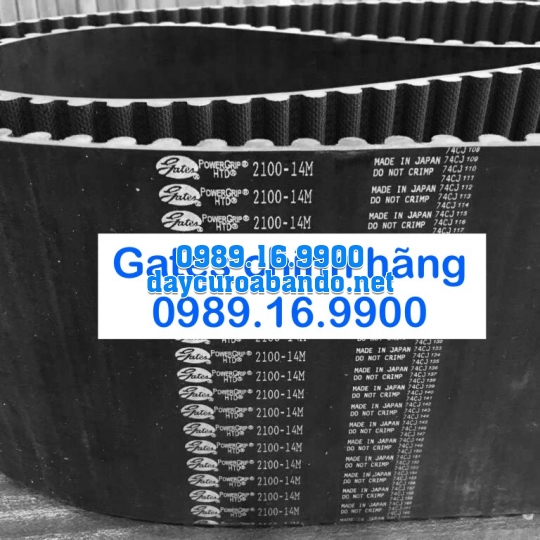 DÂY CUROA GATES 14M CHÍNH HÃNG