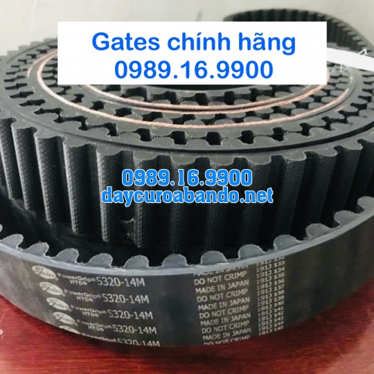 DÂY CUROA 14M HIỆU GATES 