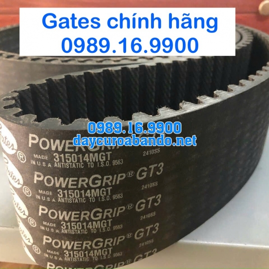 DÂY CUROA GATES 14MGT CHÍNH HÃNG