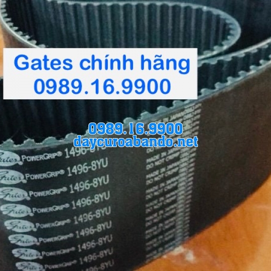 DÂY CUROA GATES 8YU CHÍNH HÃNG