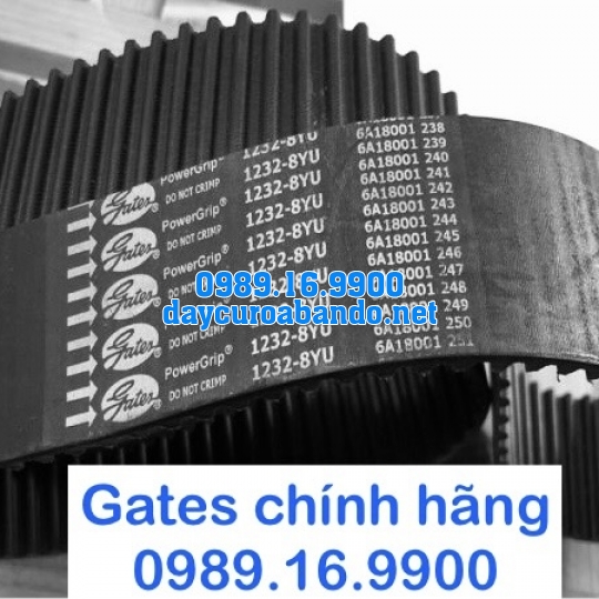 DÂY CUROA 8YU HIỆU GATES 