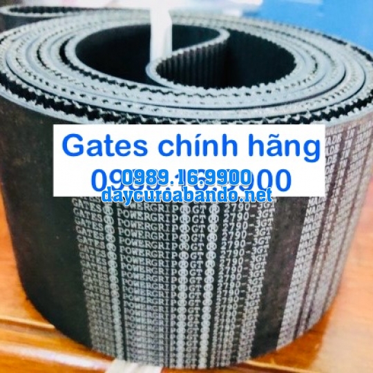 DÂY CUROA 3GT HIỆU GATES 
