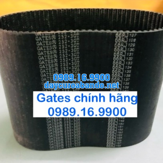 DÂY CUROA GATES 3GT CHÍNH HÃNG