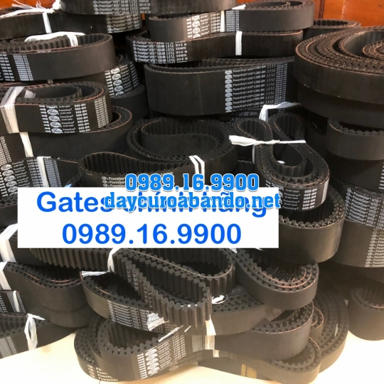 DÂY CUROA 8M GATES 