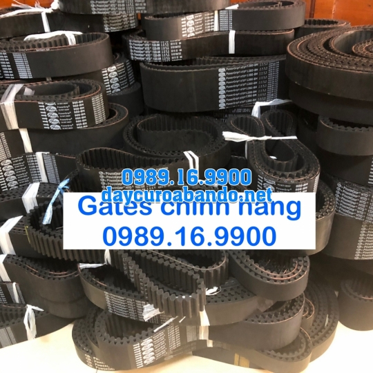DÂY CUROA GATES 8M CHÍNH HÃNG 