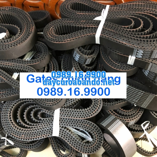 DÂY CUROA GATES 8M CHÍNH HÃNG 