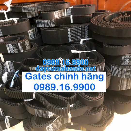 DÂY CUROA GATES 8M CHÍNH HÃNG 