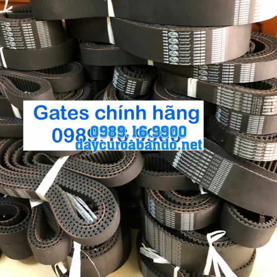DÂY CUROA 8M GATES 