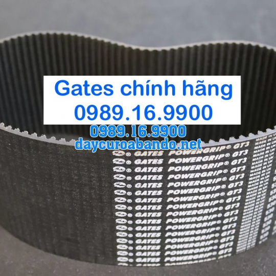 DÂY CUROA 5M GATES