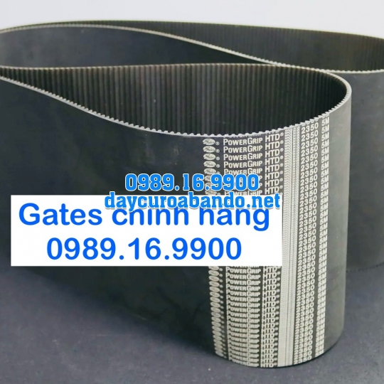 DÂY CUROA 5M GATES