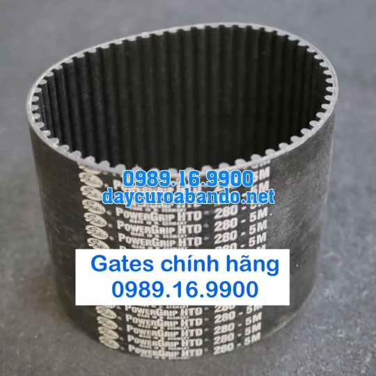 DÂY CUROA 5M GATES