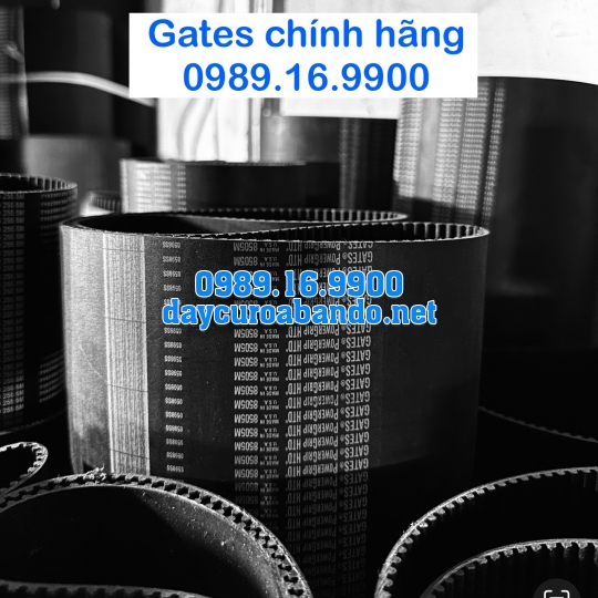DÂY CUROA 5M GATES