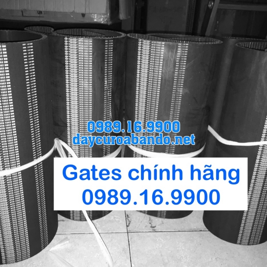 DÂY CUROA 5M GATES