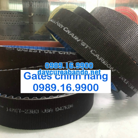 DÂY CUROA POLYCHAIN 14MGT GATES CHÍNH HÃNG 