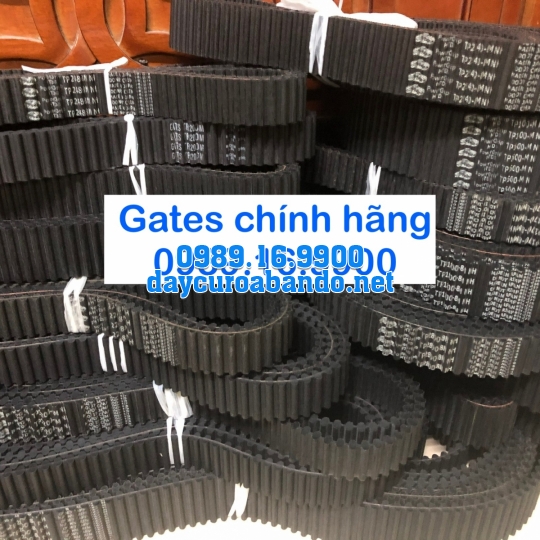 DÂY CUROA HAI MẶT RĂNG TP8MGT GATES