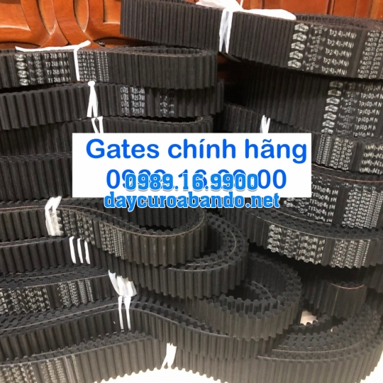 DÂY CUROA TP8MGT GATES