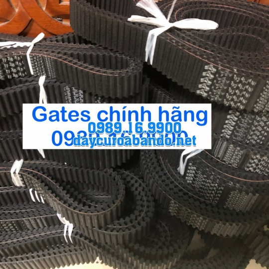 DÂY CUROA TP8MGT GATES