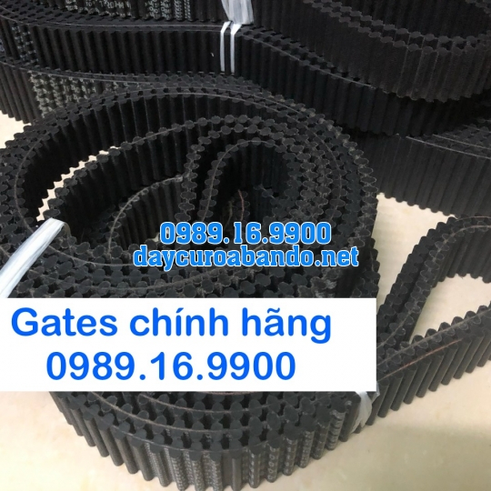 DÂY HAI MẶT RĂNG TP5M GATES