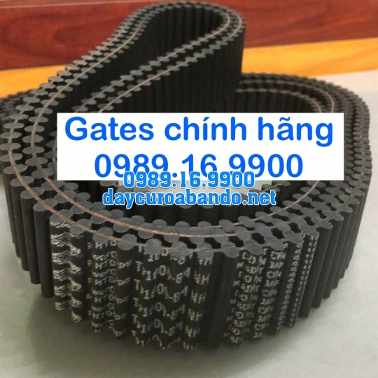 DÂY CUROA TP8M GATES 