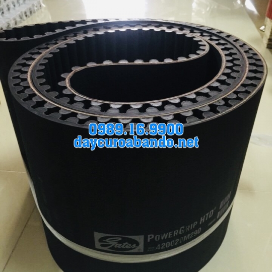 DÂY CUROA GATES 20M CHÍNH HÃNG