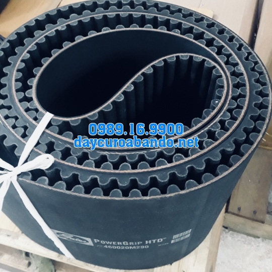 DÂY CUROA GATES 20M CHÍNH HÃNG