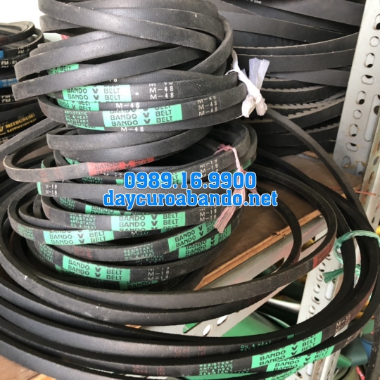 V-BELT M19
