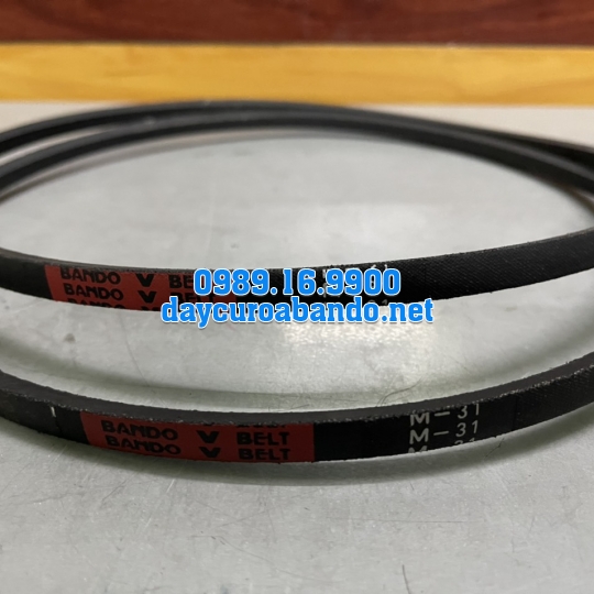 V-BELT M31