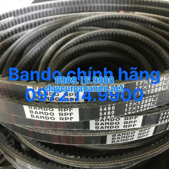 BANDO RPF5480