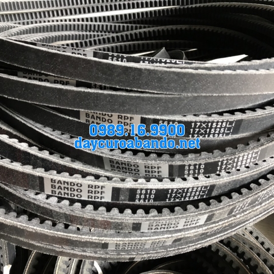 BANDO RPF5610