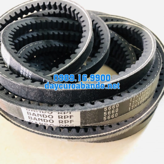 BANDO RPF5660